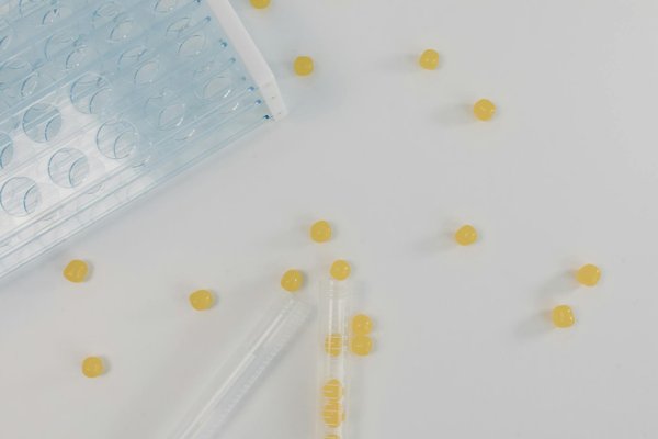 5 maladies respiratoires communes traitées par un pneumologue